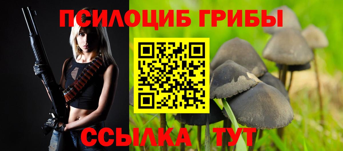 Галлюциногенные грибы Cubensis  Вход с VPN  Кириши 